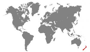 grey-world-map_1053-431